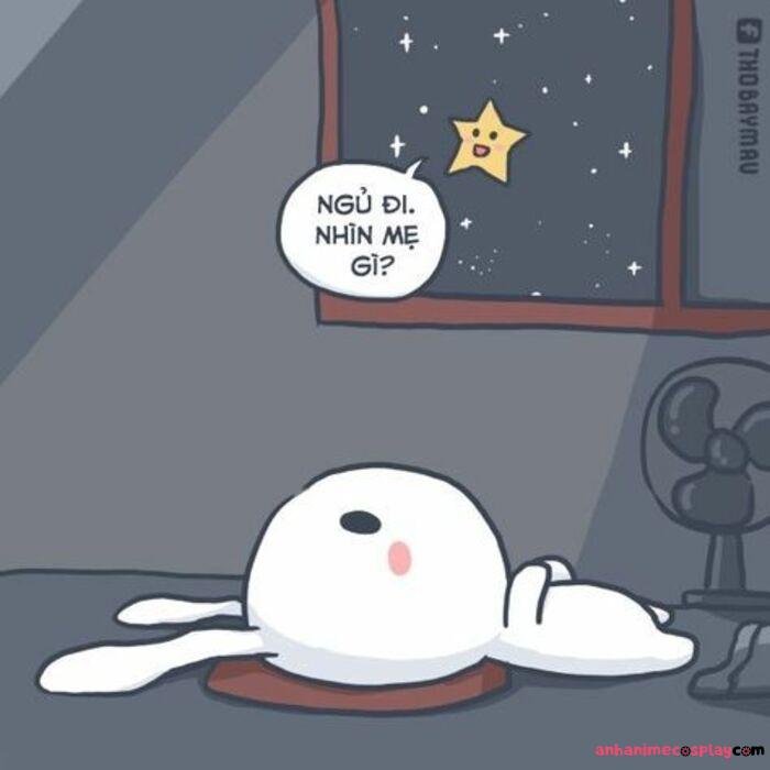 ảnh meme ngủ ngon thỏ bay màu